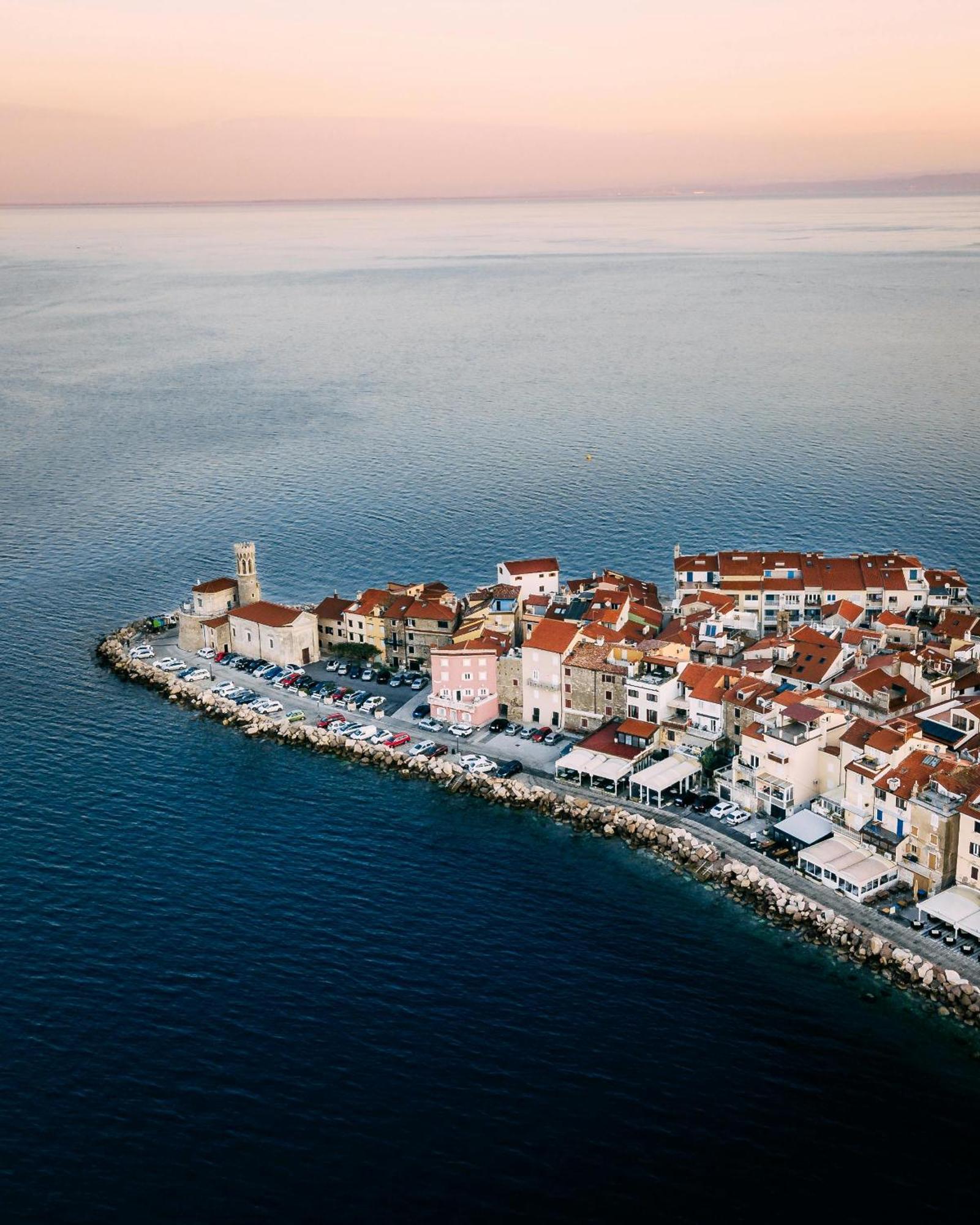 Rex - Free Parking Piran