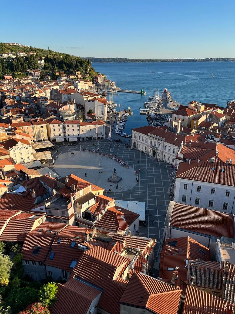 Rex - Free Parking * Piran