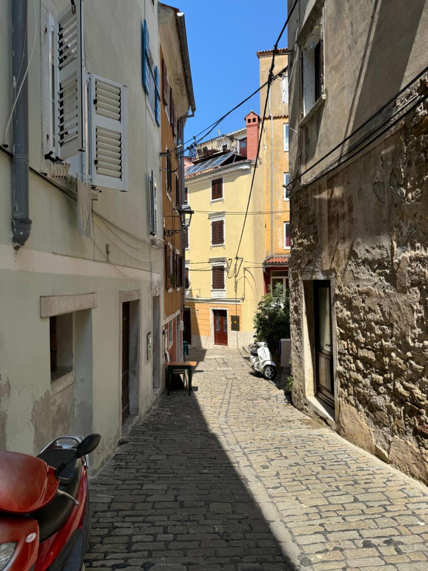 Rex - Free Parking * Piran