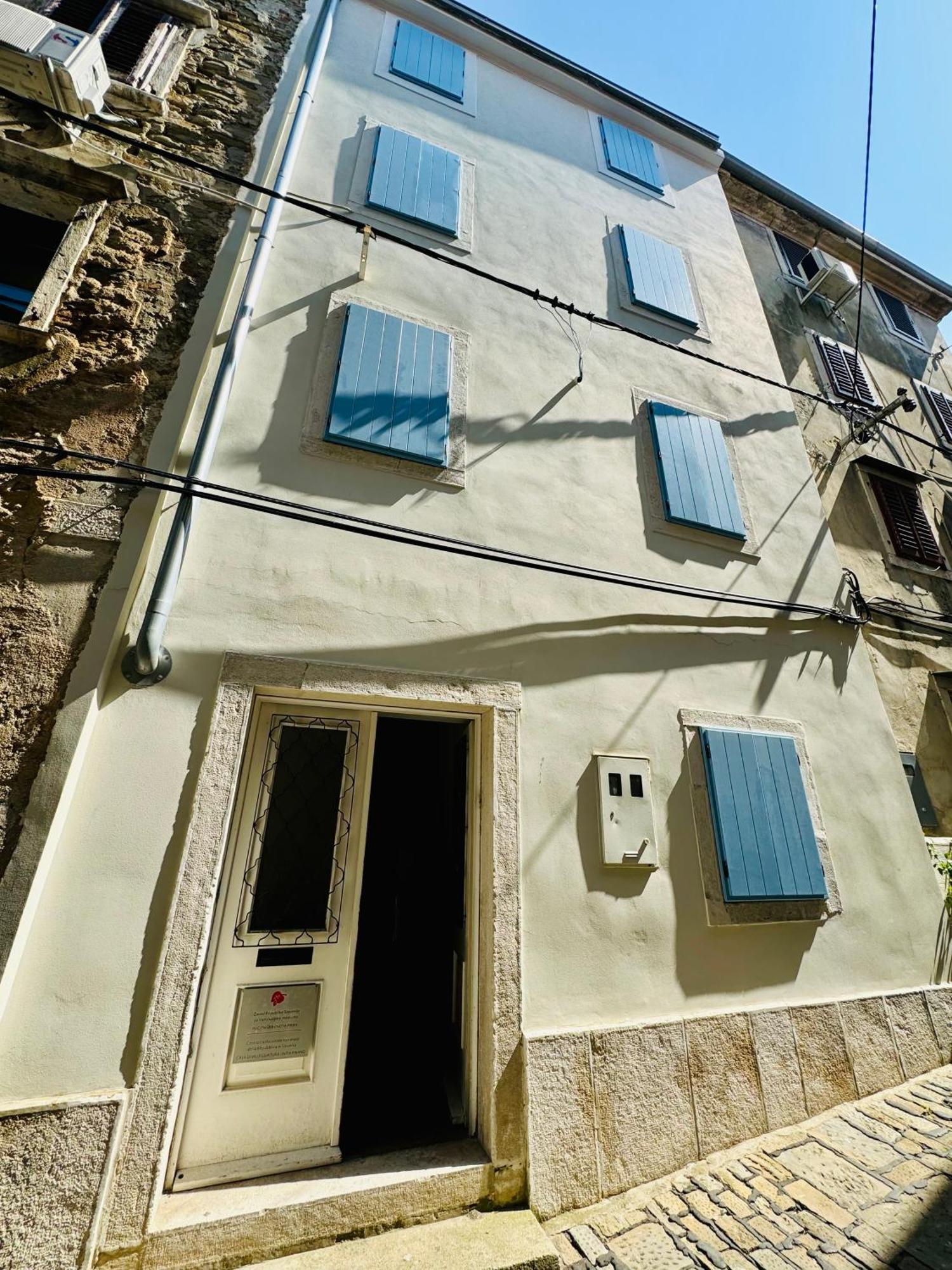 Rex - Free Parking Piran
